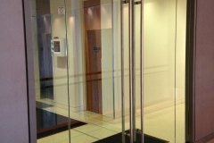 Double door with sidelites