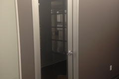 Aluminum framed door with full lite