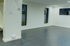 Aluminum storefront residential