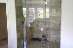 steam door with transom custom angles 2